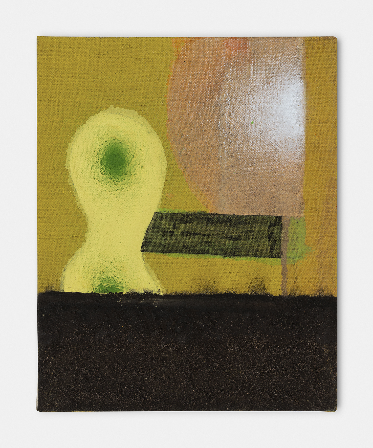 Carl&iacute;n D&iacute;az, A mountain and two trees, 2025